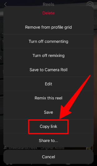 The copy link button to share the Reel via links.