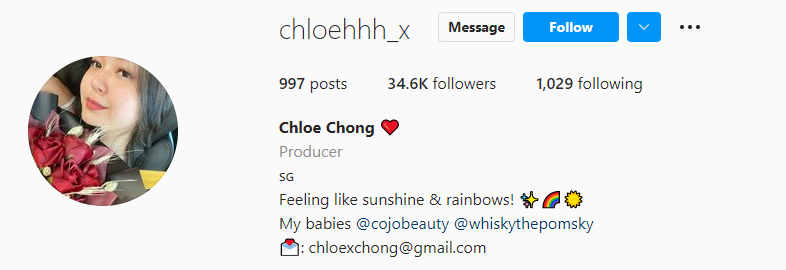 Another cute & charming Instagram bio from a female Singaporean creator