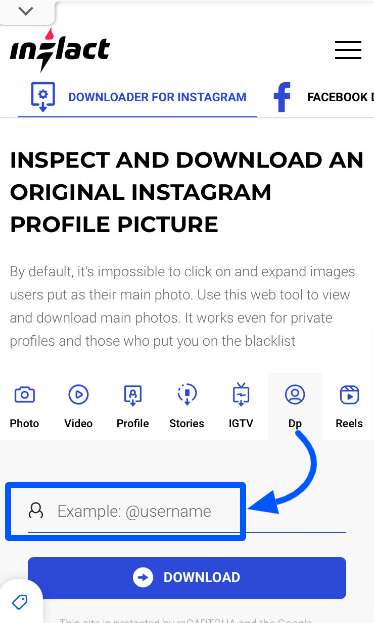 The search username box to save profile picture on a downloader for Instagram