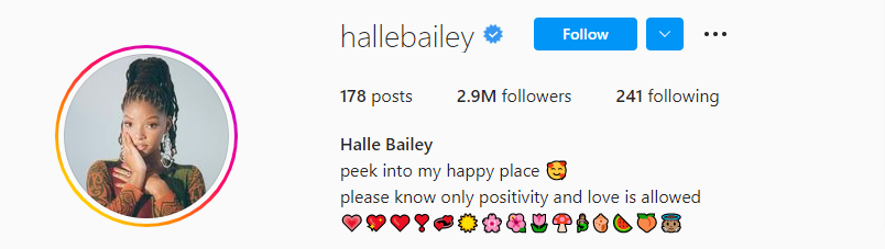 A girly Instagram bio from a public figure Halle Bailey