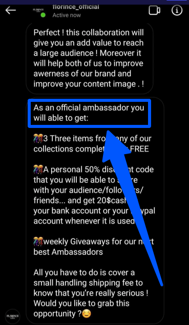 A brand ambassador collaboration message through DM Instagram