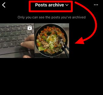 Instagram posts & Reels appearance stored on archive gallery