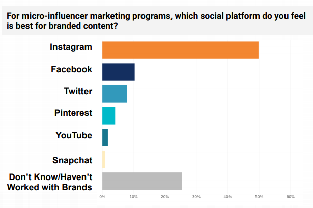 les micro influenceurs sont en majorite sur instagram