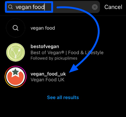 Instagram user suggestions on search results under the keywords “vegan food”