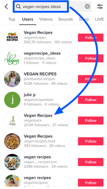 TikTok search results of vegan recipe ideas in tab users.